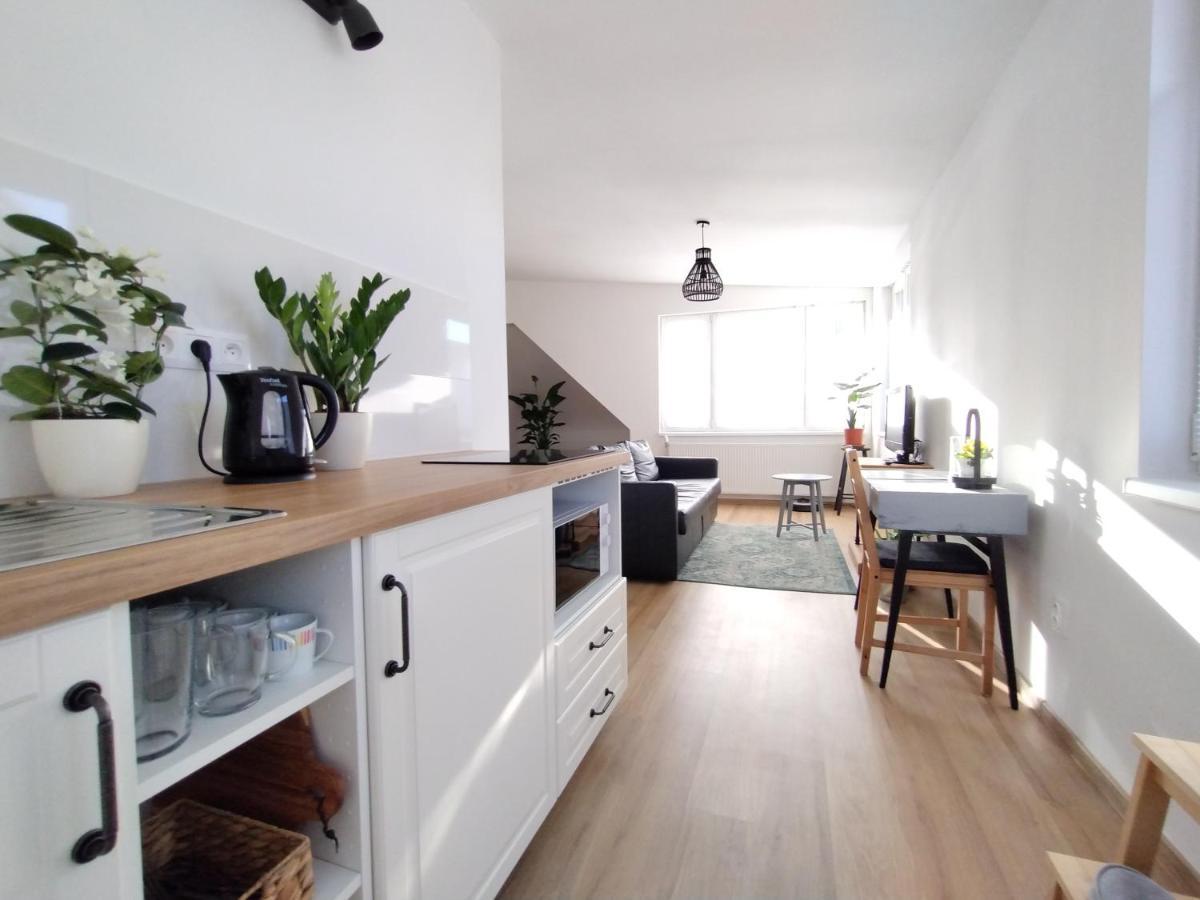 ברטיסלאבה Attic Apartment Catnip מראה חיצוני תמונה