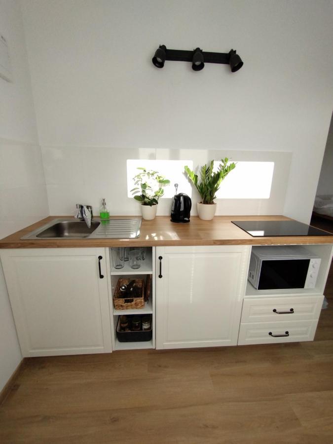 ברטיסלאבה Attic Apartment Catnip מראה חיצוני תמונה
